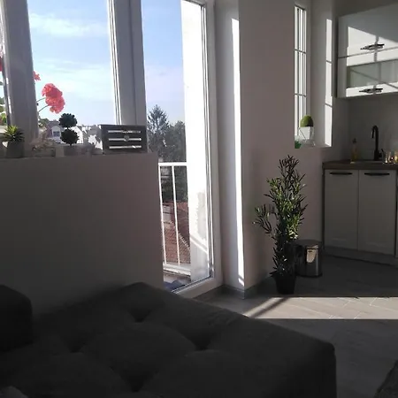 Rea 1 Pirot