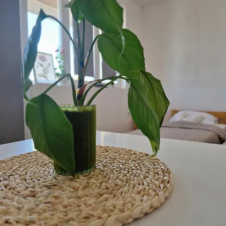 Rea 1 Appartement Pirot