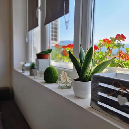 Rea 1 Lejlighed Pirot