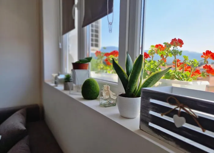 Rea 1 Apartament Pirot